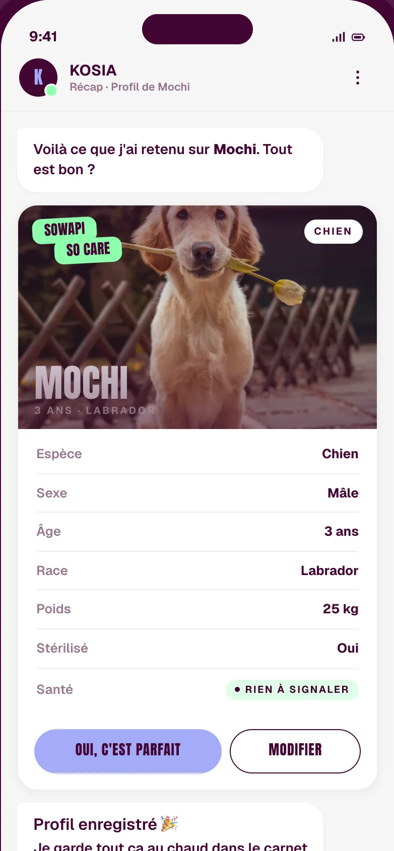 Pet summary